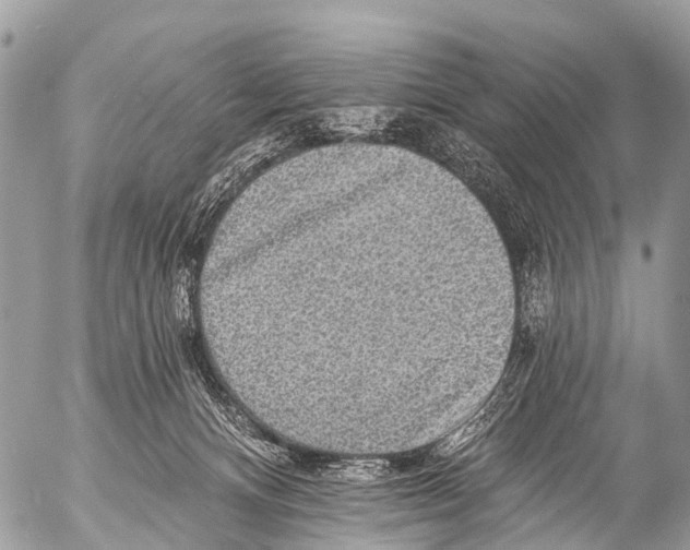 X0000053100128200508081346