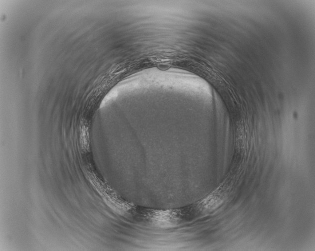 X0000053100130200508081346