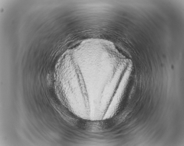 X0000053100131200508081346