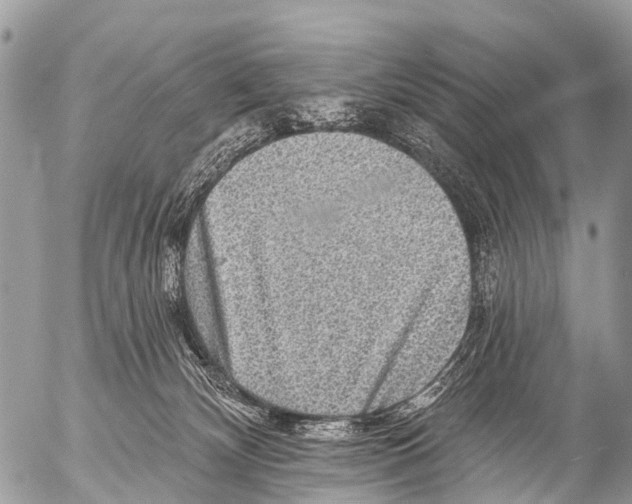 X0000053100132200508081346