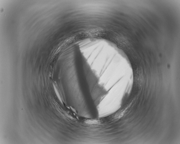 X0000053100139200508081346