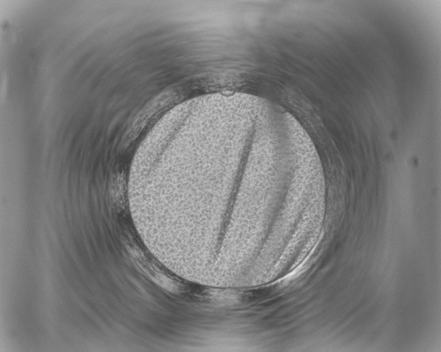 X0000053100144200508081346