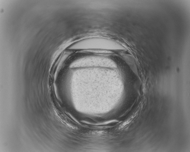 X0000053100152200508081345