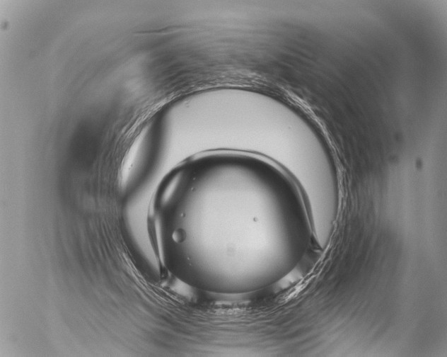 X0000053100154200508081345