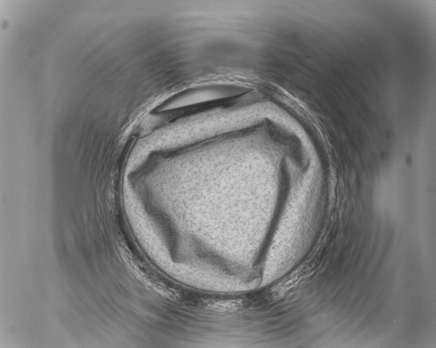 X0000053100155200508081345