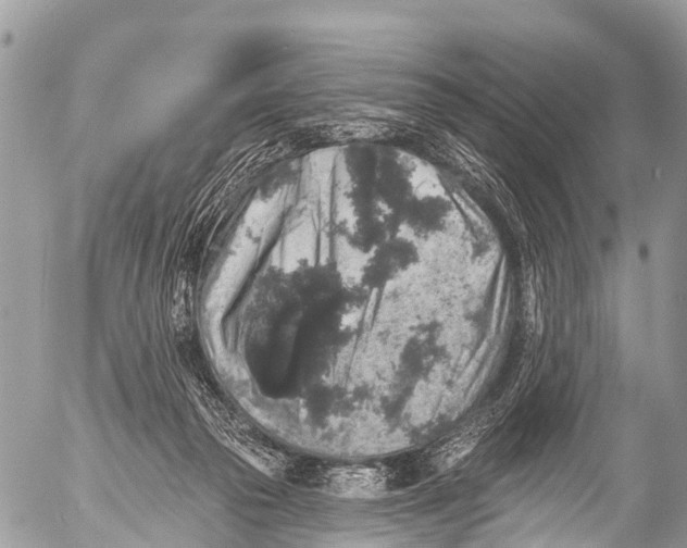 X0000053100169200508081345