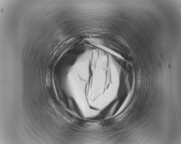 X0000053100170200508081345