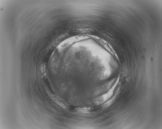 X0000053100182200508081346