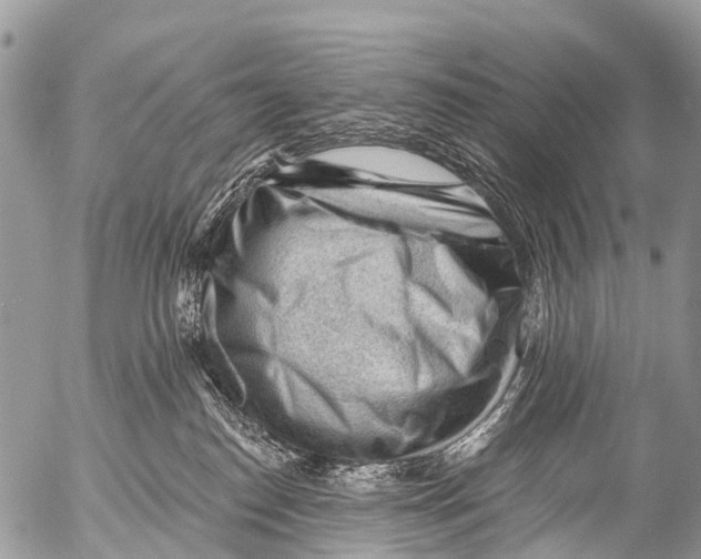 X0000053100186200508081346