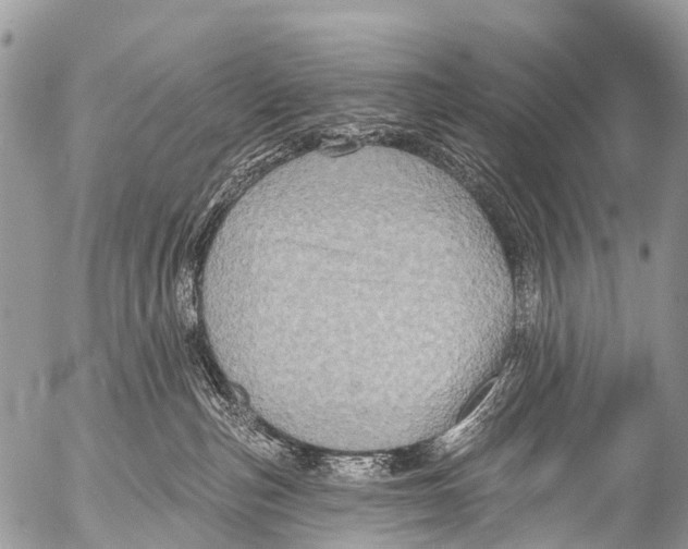 X0000053100187200508081346