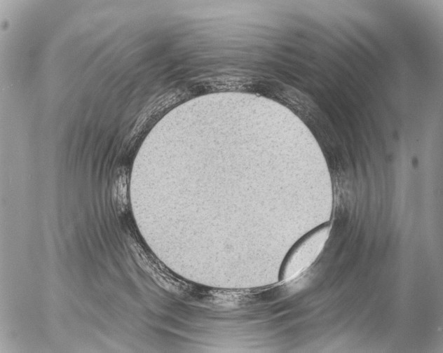 X0000053100190200508081346