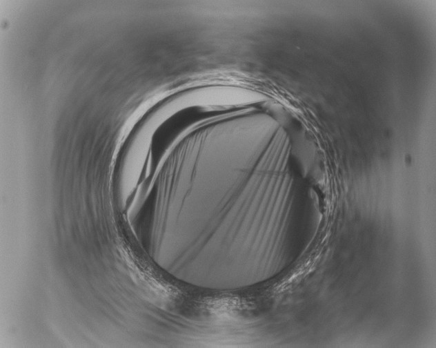X0000053100200200508081345