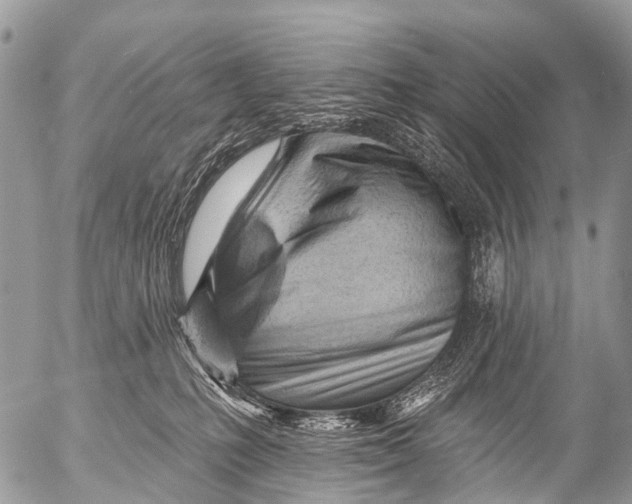 X0000053100231200508081344