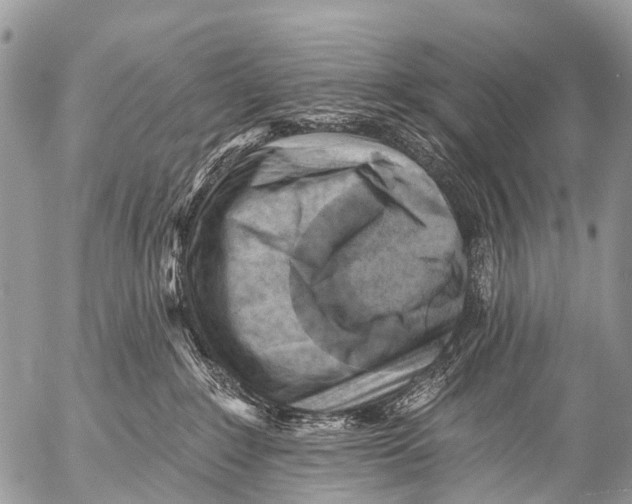 X0000053100235200508081344