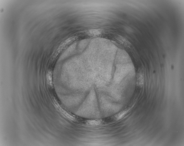 X0000053100238200508081344