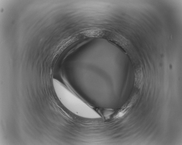 X0000053100239200508081344