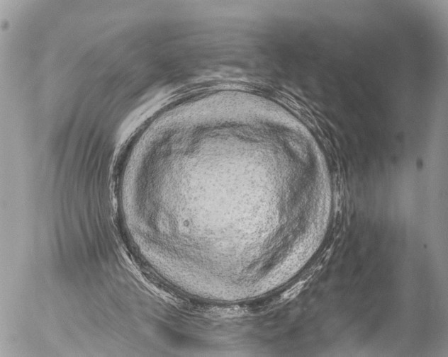 X0000053100245200508081343