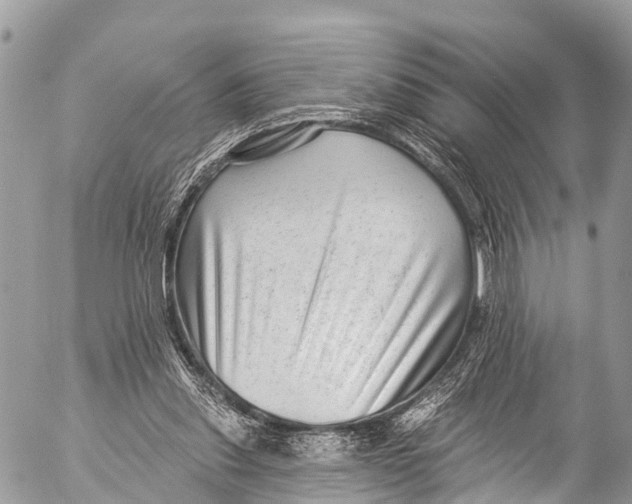 X0000053100253200508081344
