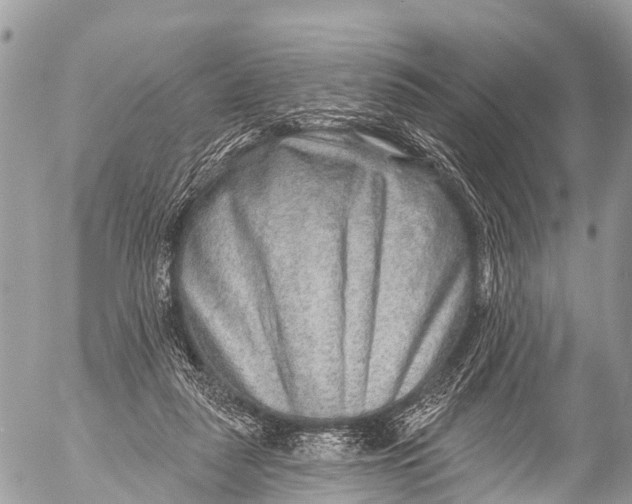 X0000053100259200508081344