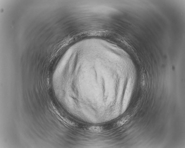 X0000053100261200508081344