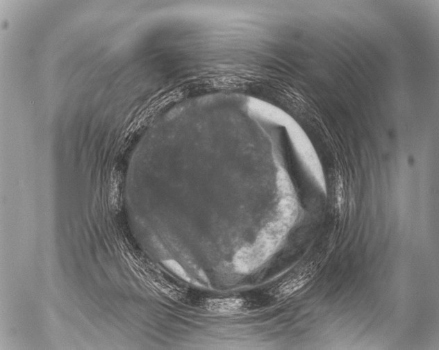 X0000053100266200508081344