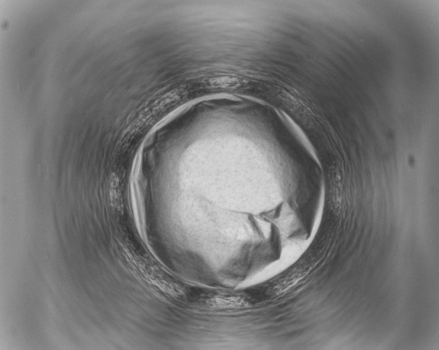 X0000053100270200508081344