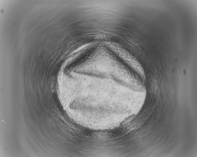 X0000053100273200508081344