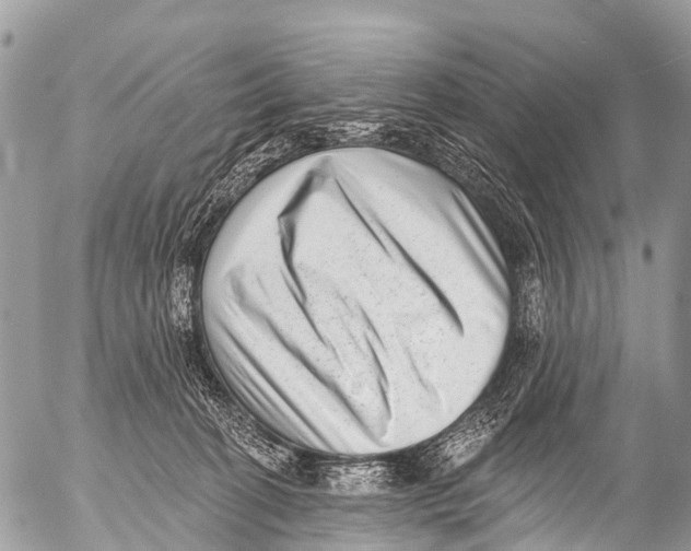 X0000053100274200508081344