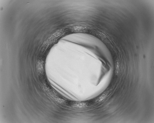 X0000053100278200508081344