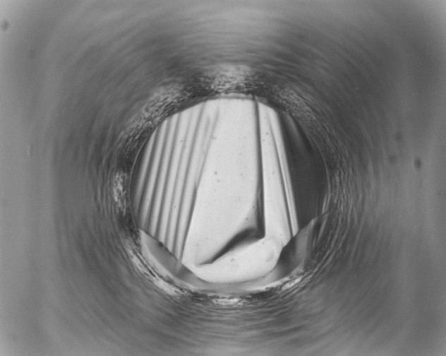 X0000053100280200508081344