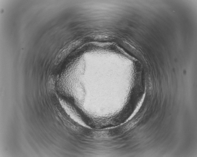 X0000053100281200508081344