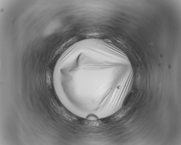 X0000053100282200508081344