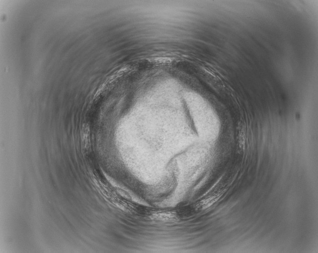 X0000053100283200508081344