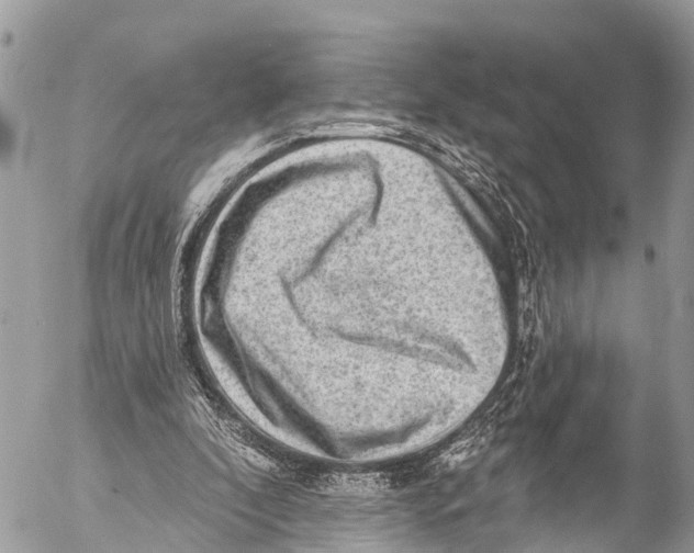 X0000053100296200508081343