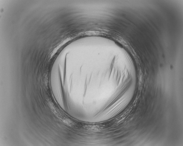 X0000053100297200508081343