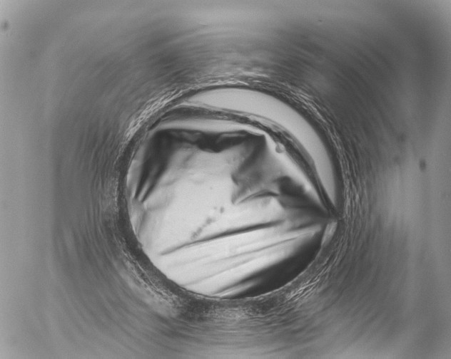 X0000053100299200508081343