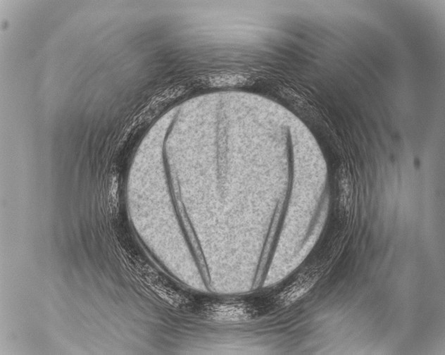 X0000053100308200508081343