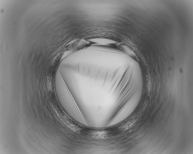 X0000053100313200508081343