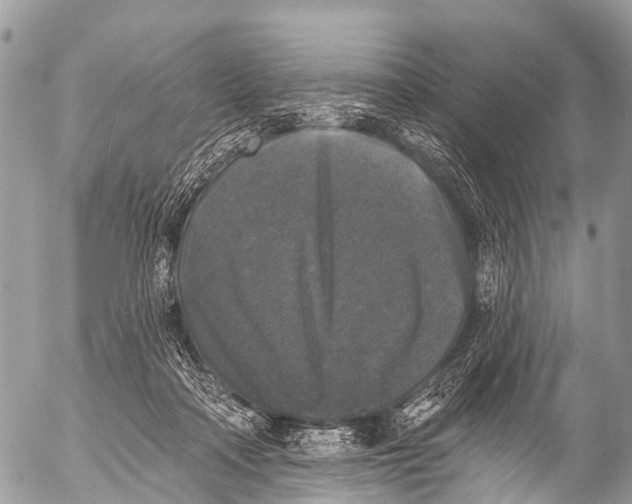 X0000053100314200508081343