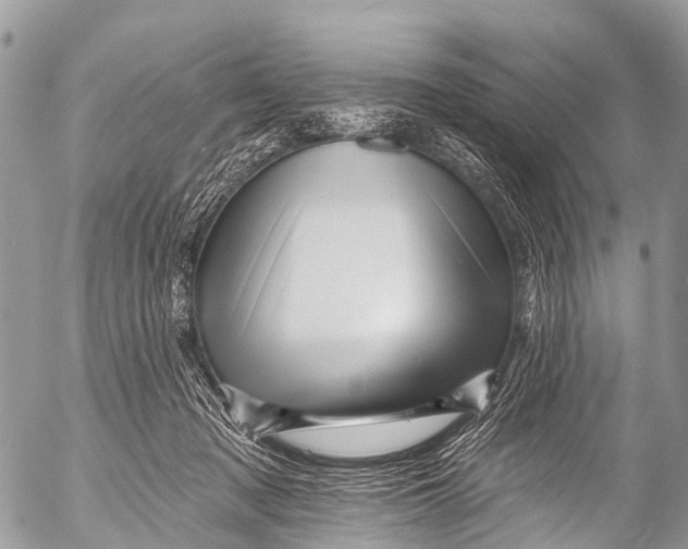 X0000053100317200508081343