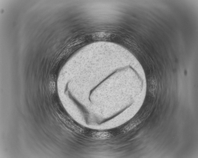 X0000053100324200508081343
