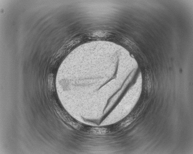X0000053100328200508081343