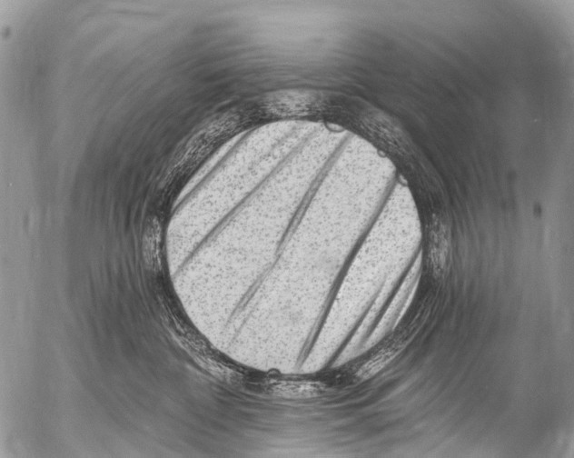 X0000053100332200508081343