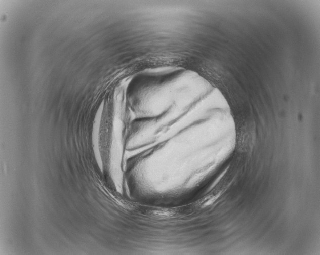 X0000053100335200508081343