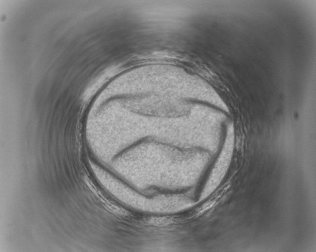 X0000053100341200508081342