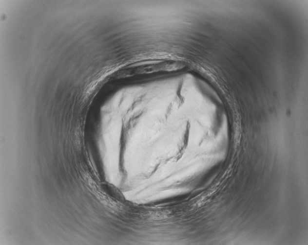 X0000053100345200508081342