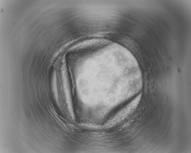 X0000053100346200508081342