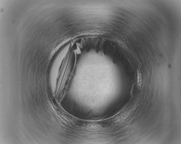 X0000053100348200508081342