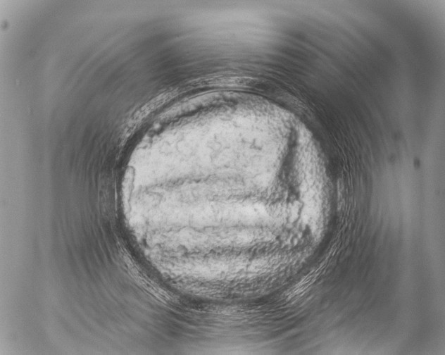X0000053100349200508081342