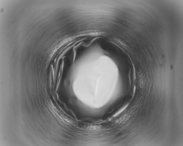 X0000053100350200508081342